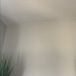 Meet your Posher, Mayzie